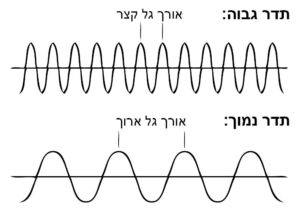 איך עובדת מערכת Web-wellness והתדרים 1